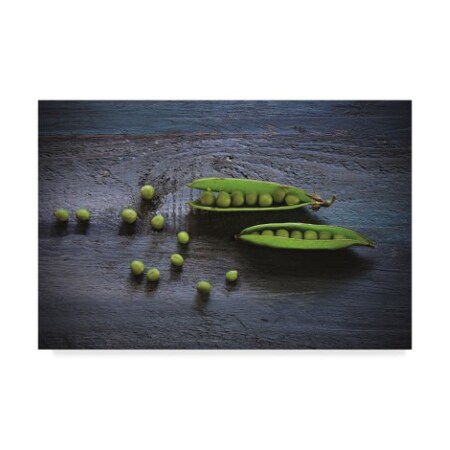 Trademark Fine Art Christine Sainte-Laudy 'Pea' Canvas Art, 16x24 CSL00057-C1624GG